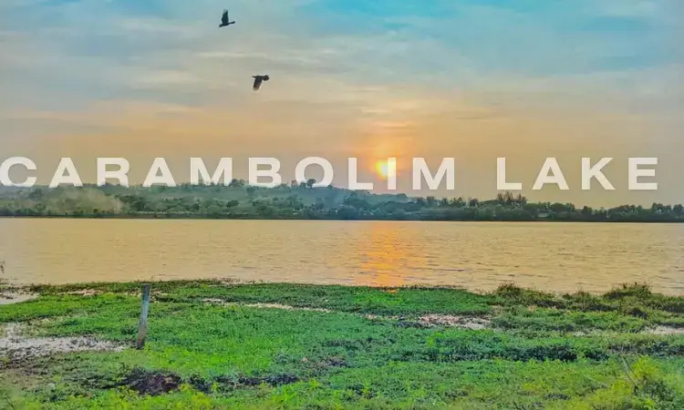 Carambolim Lake