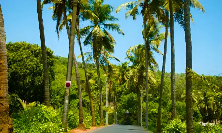 Parra Road Goa