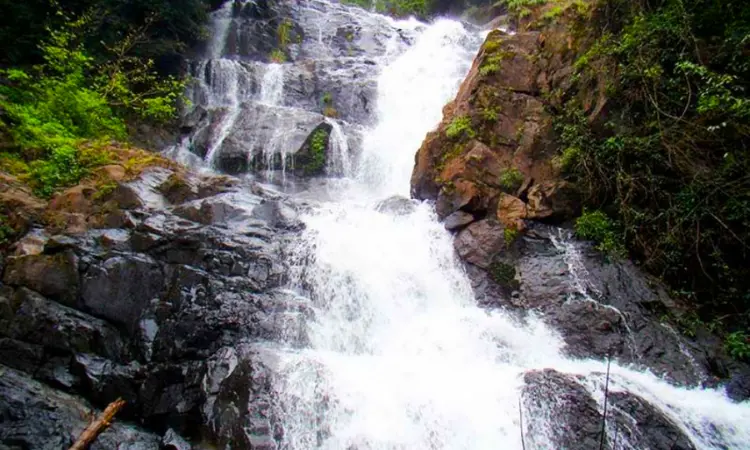 Tambdi Surla Waterfalls