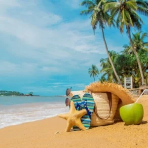 Why to Visit Goa in Summer?