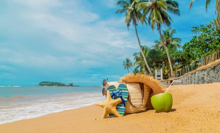 Why to Visit Goa in Summer?