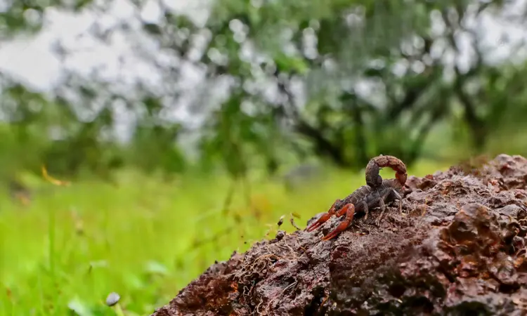 Bhagwan Mahavir Wildlife Sanctuary