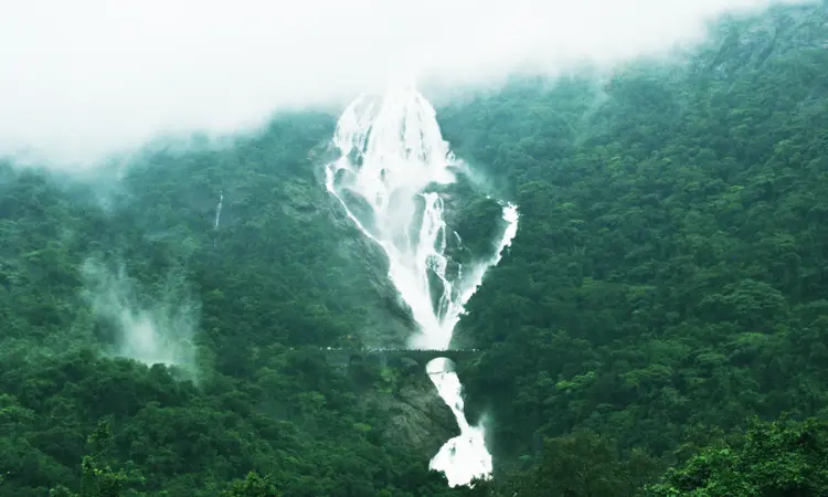 Dudhsagar Waterfall Trek