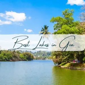 Best Lakes in Goa: Perfect Spots for Picnics and Photography