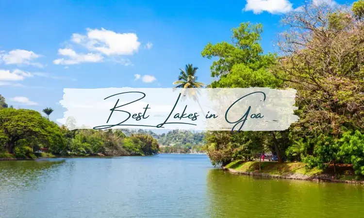 Best Lakes in Goa: Perfect Spots for Picnics and Photography