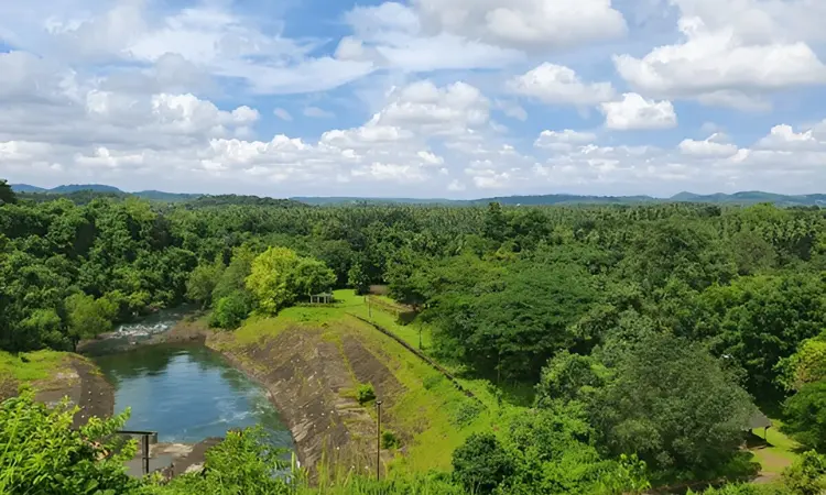 Salaulim Garden Goa